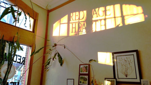 Reflection of Red Sage Health